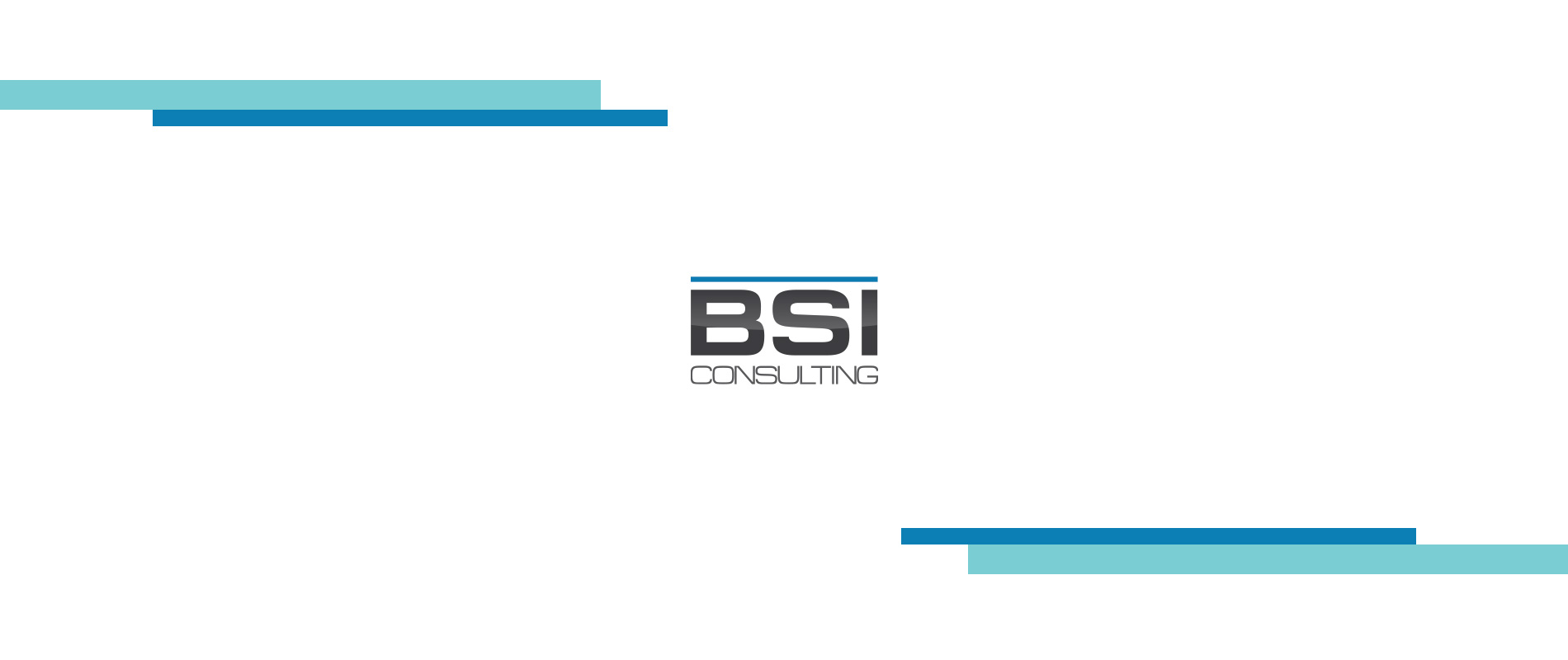 BSI Consulting web site