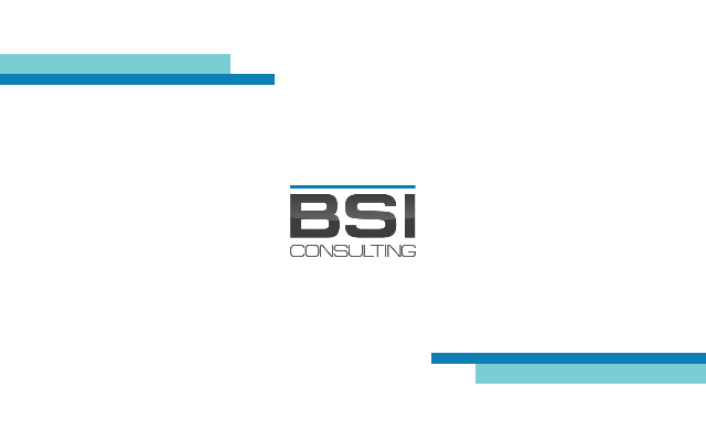BSI Consulting web site
